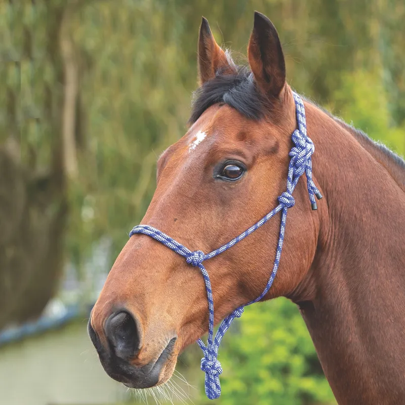 Shires Rope Controller Headcollar - Navy/White