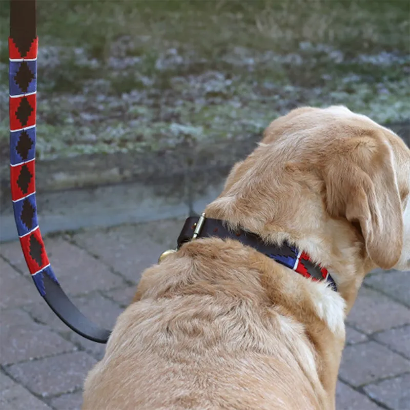 Benji and Flo Sublime Polo Leather Dog Lead - Red/Navy/White-1