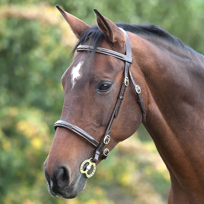 Velociti GARA Fancy Stitched In-Hand Bridle - Havana Brown