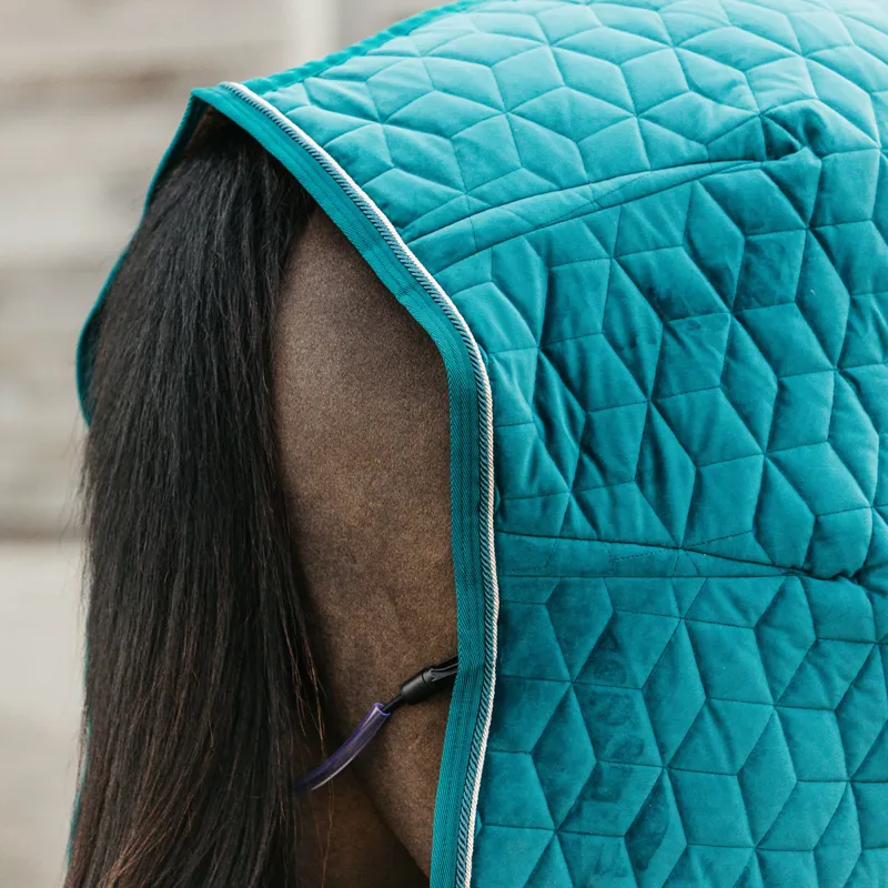 Kentucky Velvet Show Rug - Emerald-5