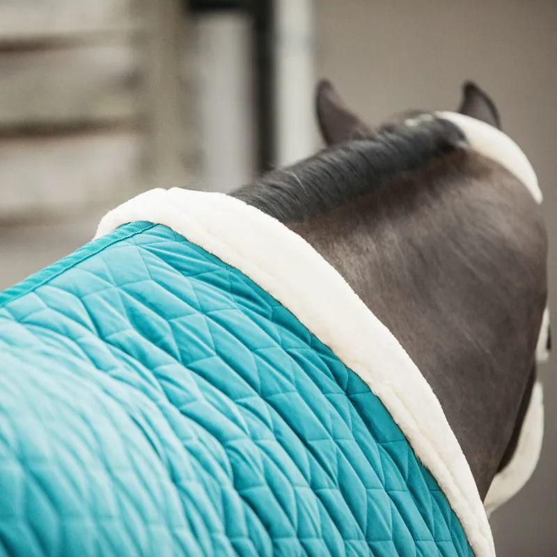 Kentucky Velvet Show Rug - Emerald-3