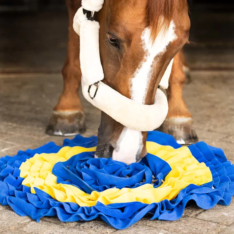 QHP Treat Snuffle Mat for Horses - Blue/Yellow-2