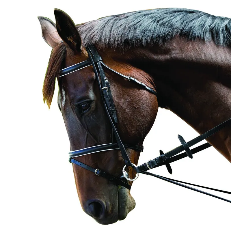 Kincade Elastic Bungee Training Strap - Black