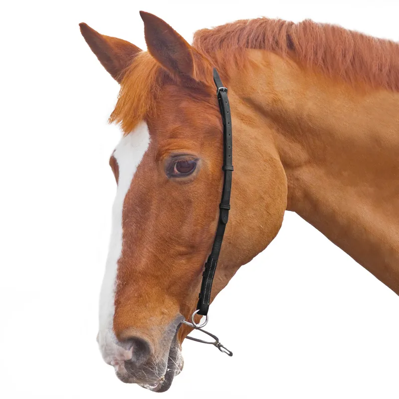 Velociti GARA Chifney Bit Strap - Black