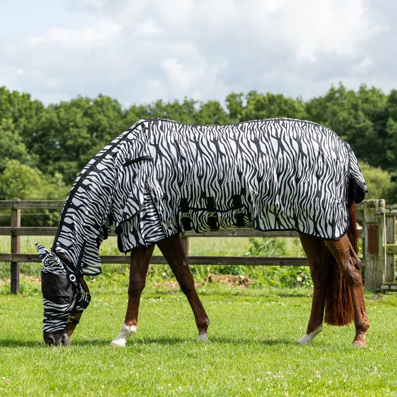 QHP Anti-Fly Rug with Detachable Neck and Mask - Black-4