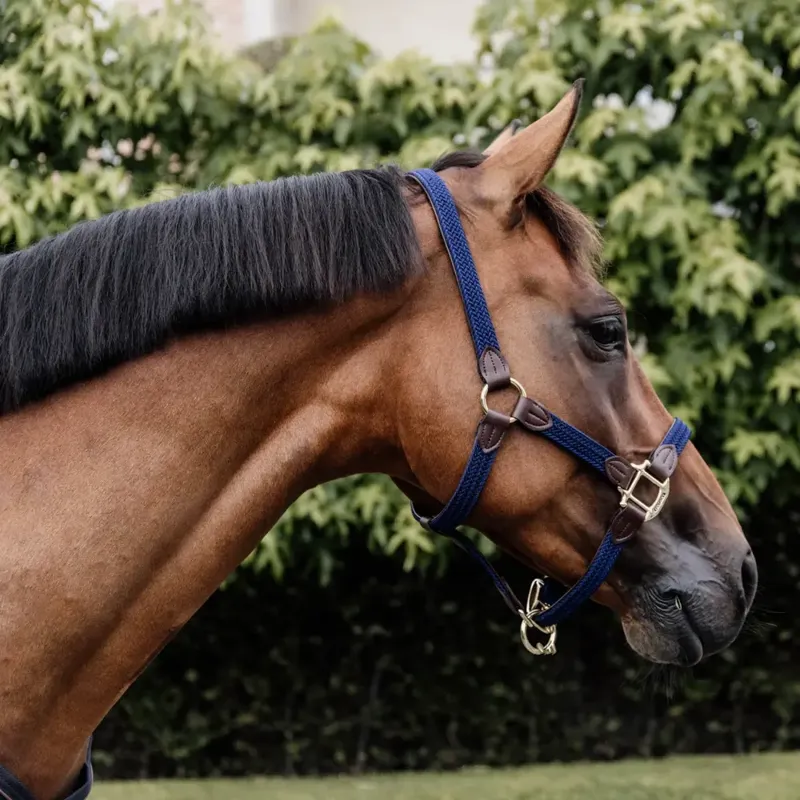 Kentucky Plaited Nylon Headcollar - Navy-2