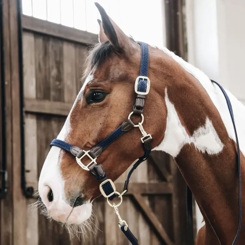 Kentucky Plaited Nylon Headcollar - Navy