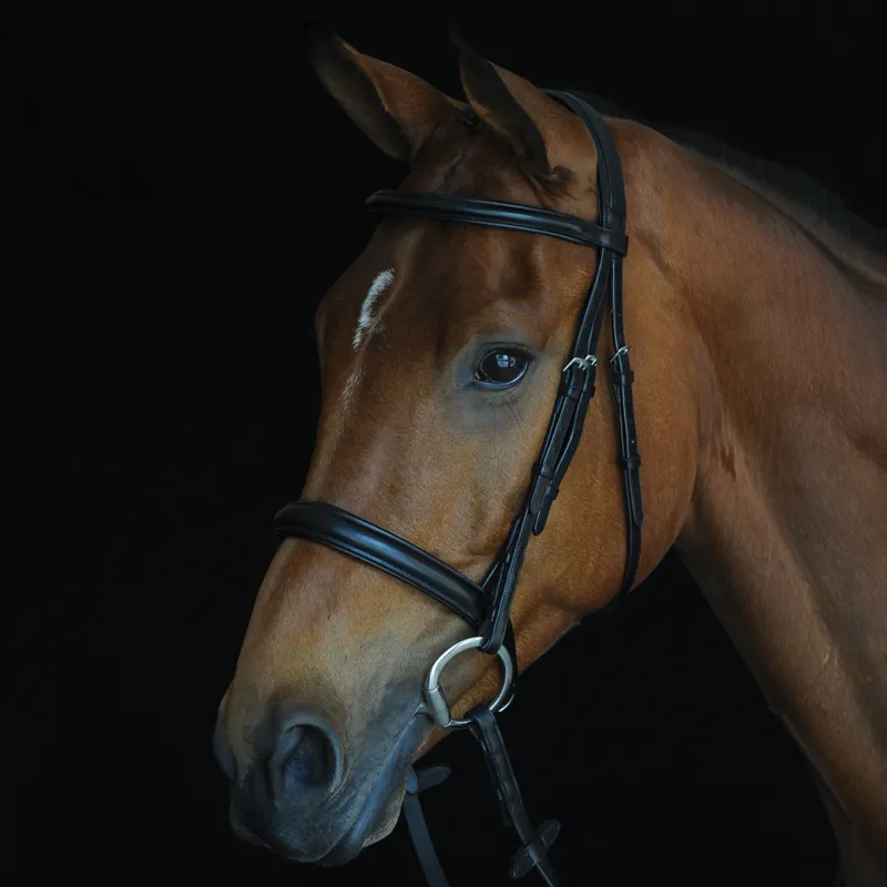 Collegiate IV Comfort Crown Padded Raised Cavesson Bridle - Black