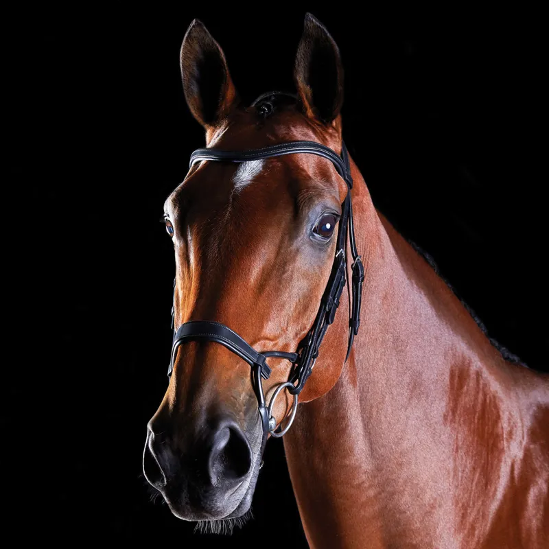 Collegiate ComFiTec Training Bridle - Black-4