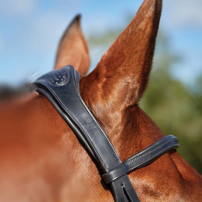 Collegiate ComFiTec Training Bridle - Black-1