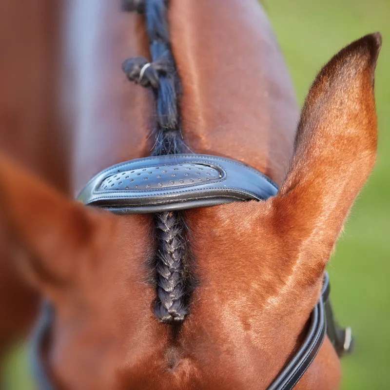 Collegiate ComFiTec Training Bridle - Black - TRIAL-3