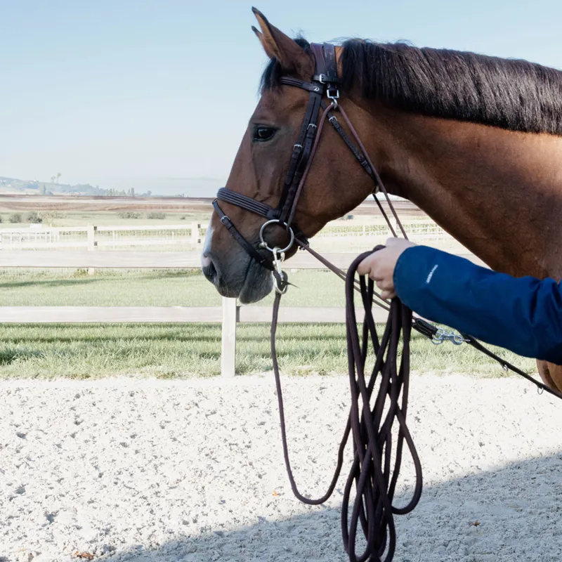 Kentucky Lunge Line - Brown-3
