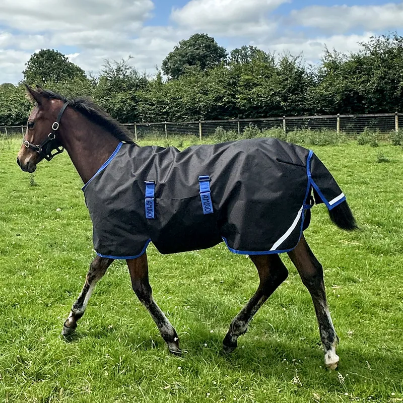 Amigo Ripstop 900D Foal 50g Turnout Rug - Black/Classic Blue-4