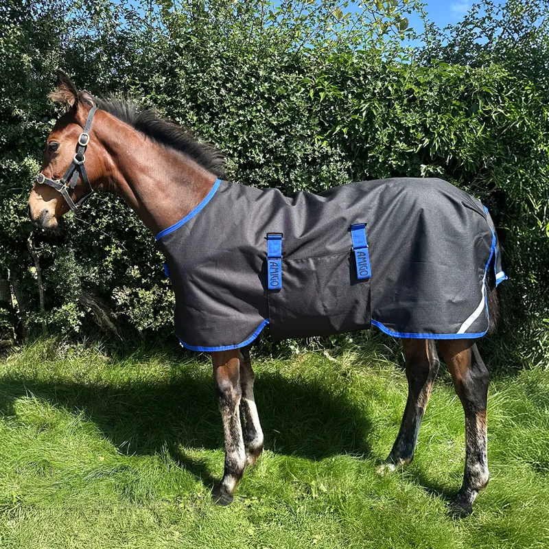 Amigo Ripstop 900D Foal 50g Turnout Rug - Black/Classic Blue-1