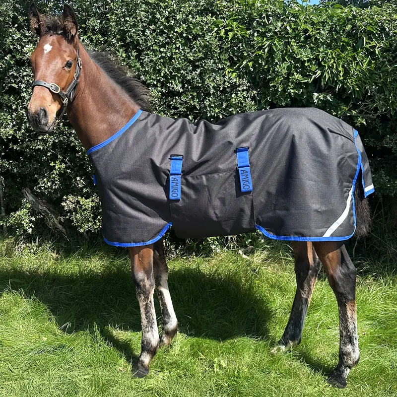 Amigo Ripstop 900D Foal 50g Turnout Rug - Black/Classic Blue
