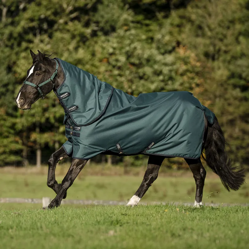 Amigo Ripstop 900D Plus 200g Detachable Neck Turnout Rug - Dynasty-1