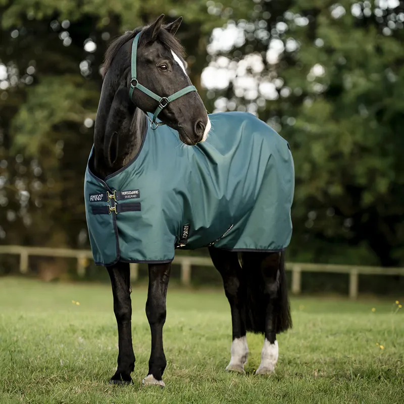 Amigo Ripstop 900D Standard Neck 50g Turnout Rug - Dynasty Green-10