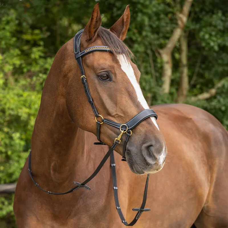 QHP Anatomical Bitless Bridle with Reins - Brown-1