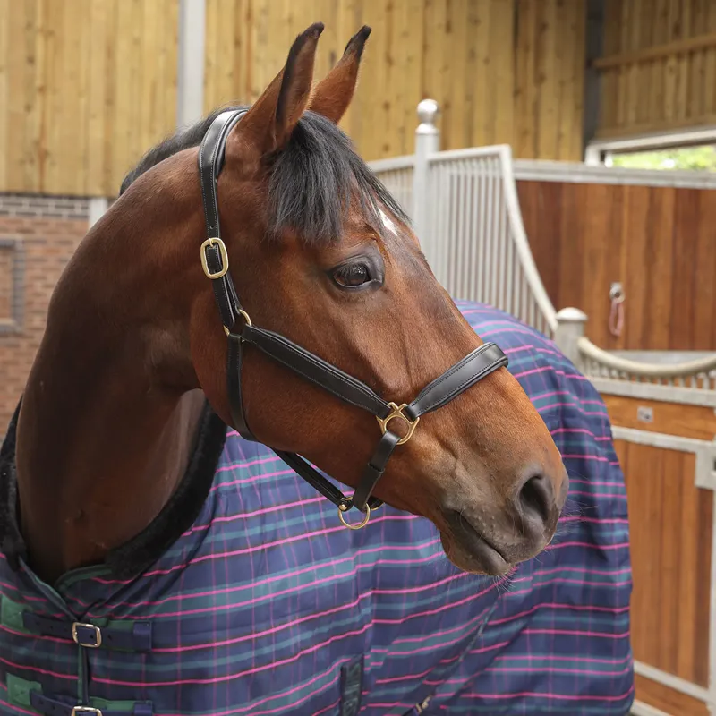 Shires Tempest Plus 100g Standard Neck Stable Rug - Navy Tartan-2
