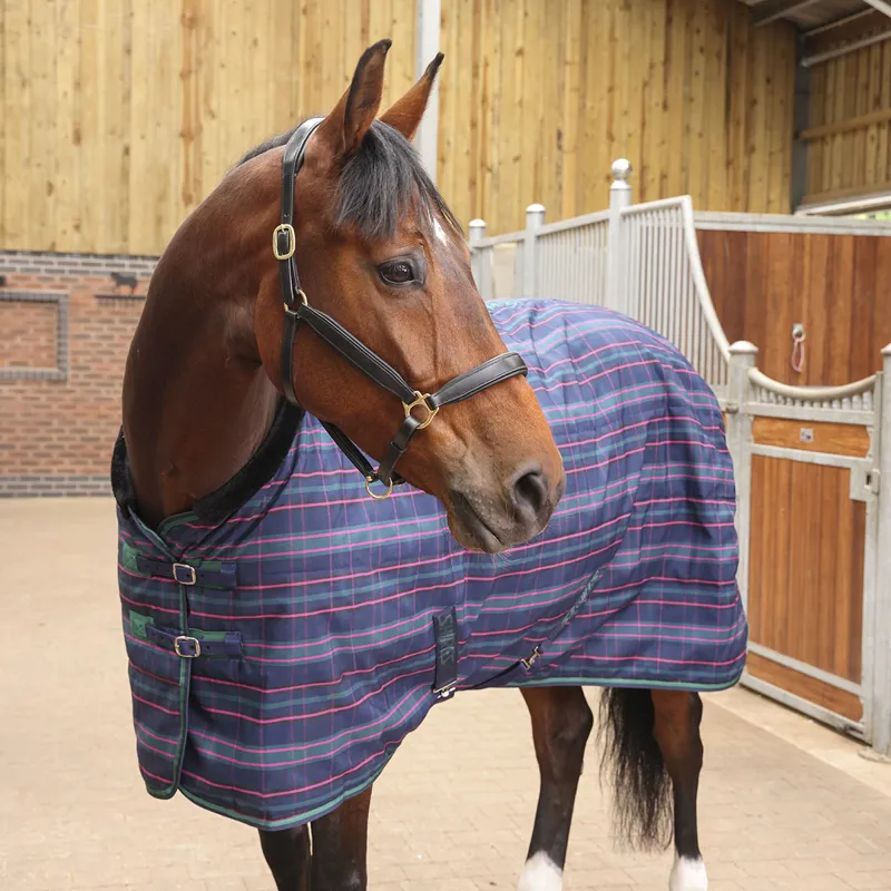 Shires Tempest Plus 100g Standard Neck Stable Rug - Navy Tartan-1