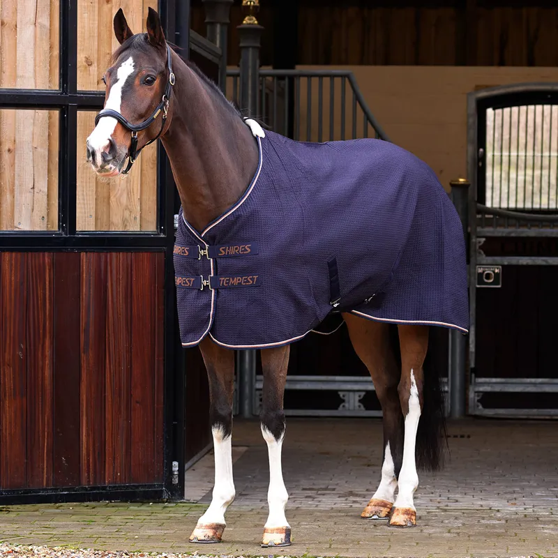 Shires Tempest Standard Neck Waffle Cooler Rug - Navy