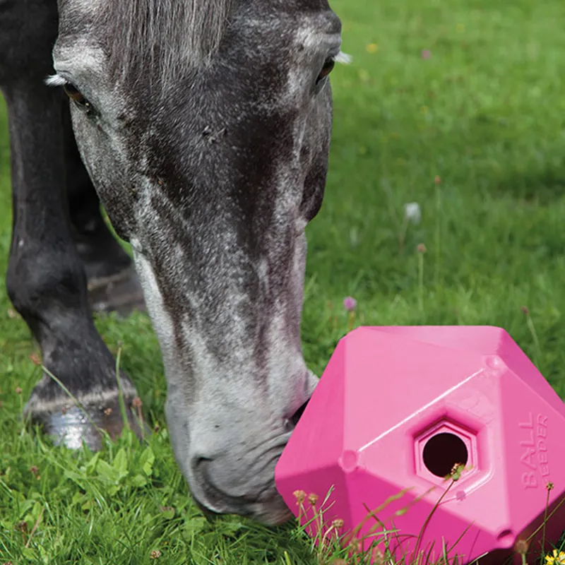 Shires Ball Feeder - Pink-1
