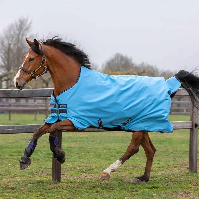 Amigo Hero 900 Lite 0g Turnout Rug - Capri/Gunmetal/Bluebell