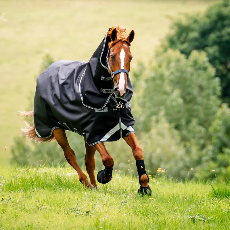 Rambo 1680D Plus 50g Detatchable Neck Turnout Rug - Black/Thunderstorm-4