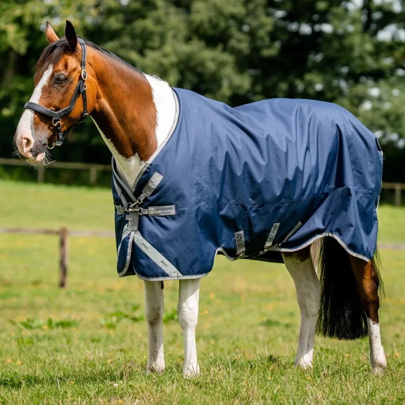 Amigo 1200D 50g Standard Neck Turnout Rug - Navy/Titanium Grey/Silver