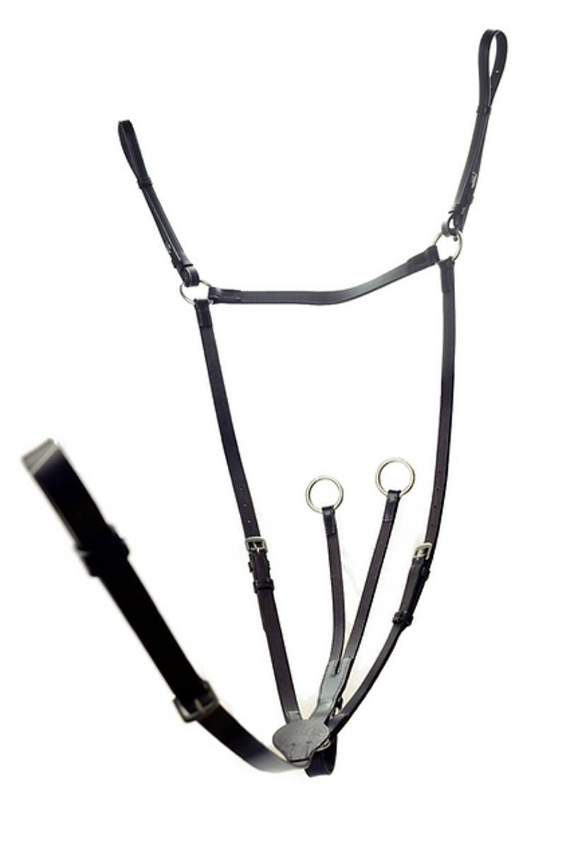 Dever Ascot Running Breastplate - Black-1