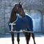 Amigo Net Cooler Rug - Navy/Silver