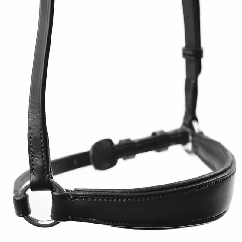 Dever Ascot Padded Drop Noseband - Black