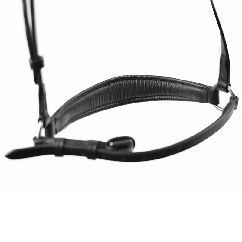 Dever Ascot Padded Drop Noseband - Black-1