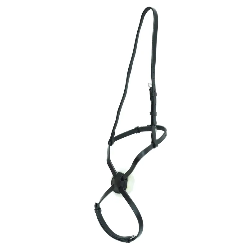Dever Ascot Sliding Grackle Noseband - Black