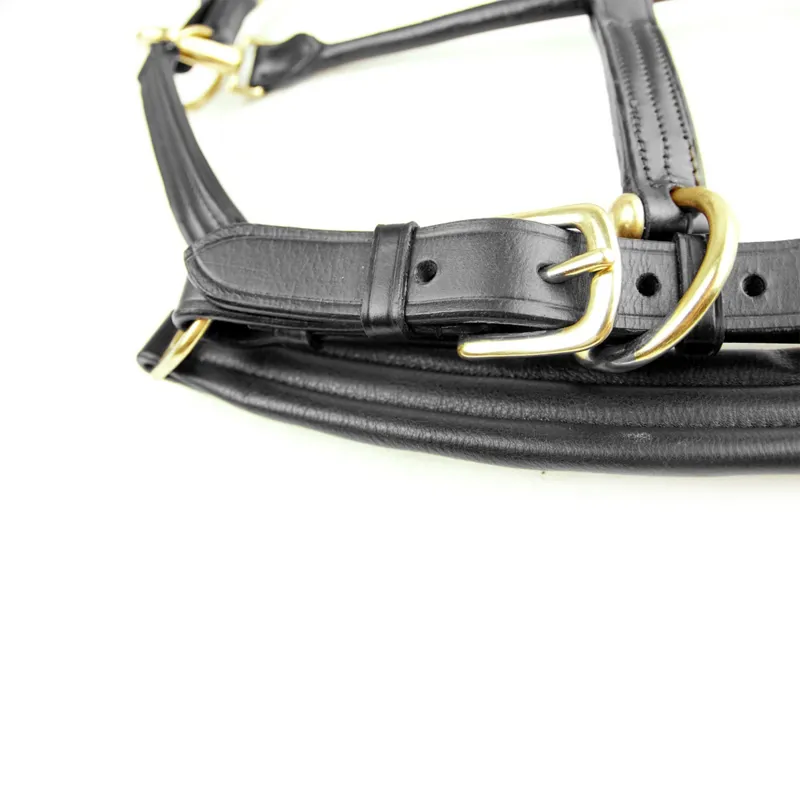 Dever Ascot Padded Leather Headcollar - Black-3