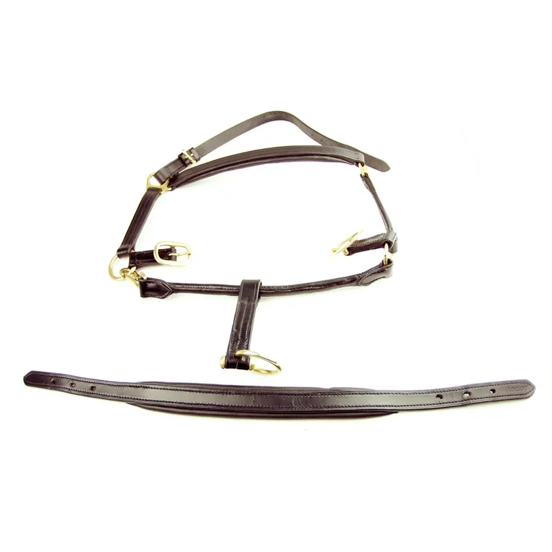 Dever Ascot Padded Leather Headcollar - Brown-1