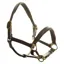 Dever Ascot Padded Leather Headcollar - Brown