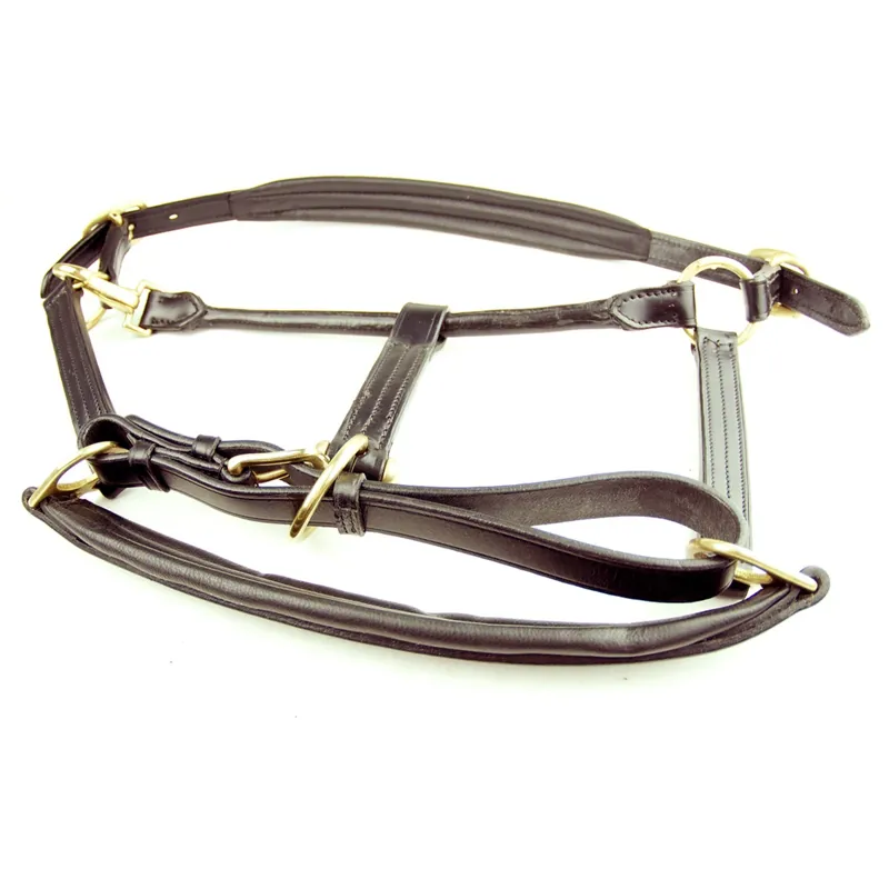 Dever Ascot Padded Leather Headcollar - Brown-2