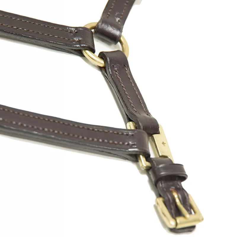 Dever Ascot Leather Foal Headcollar - Brown-2