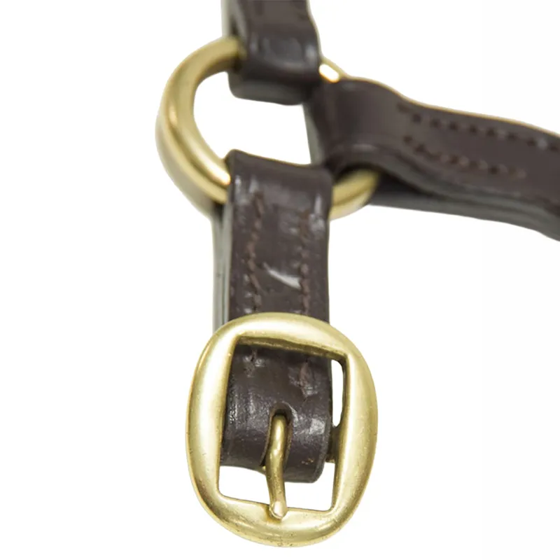 Dever Ascot Leather Foal Headcollar - Brown-3