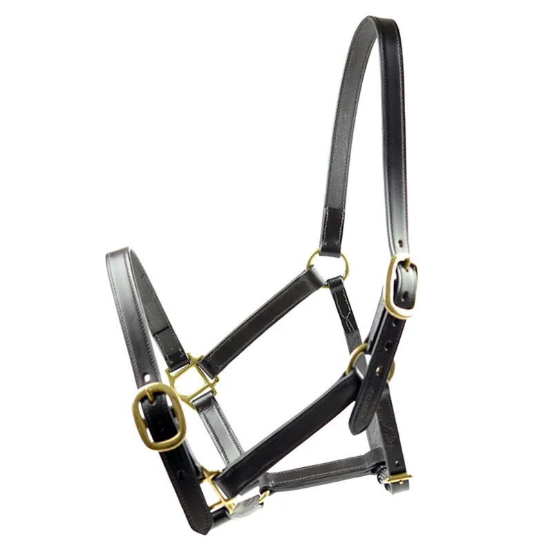 Dever Ascot Horses In Training Headcollar - Black