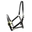 Dever Ascot Horses In Training Headcollar - Black