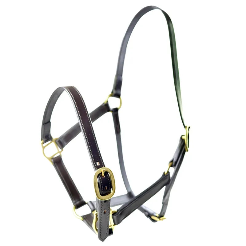 Dever Ascot Horses In Training Headcollar - Black-1