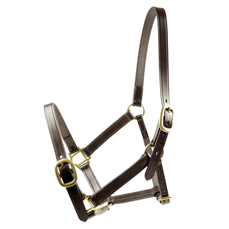 Dever Ascot Horses In Training Headcollar - Brown