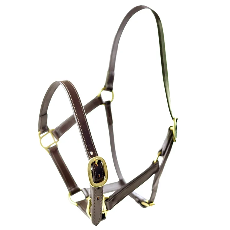 Dever Ascot Horses In Training Headcollar - Brown-1