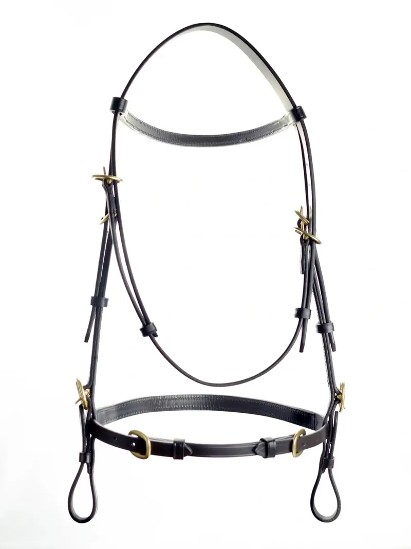Dever Ascot In Hand Bridle - Black-3