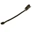 Dever Ascot Rolled Lip Strap - Brown