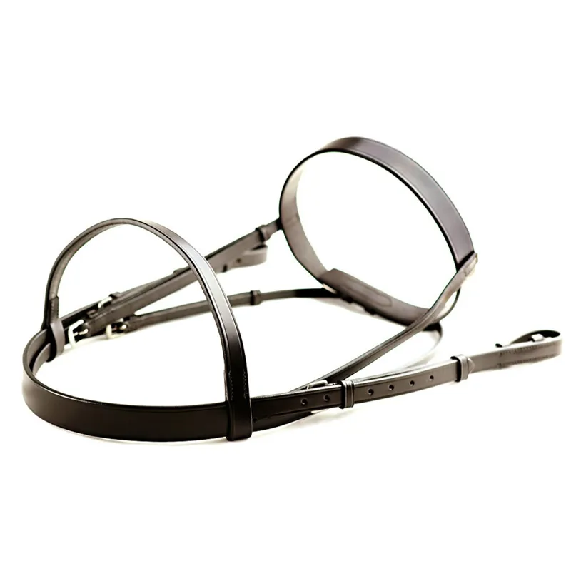 Dever Ascot Plain Bridle - Brown-2