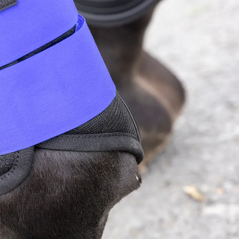 ARMA NX Air Motion Brushing Boots - Royal-3