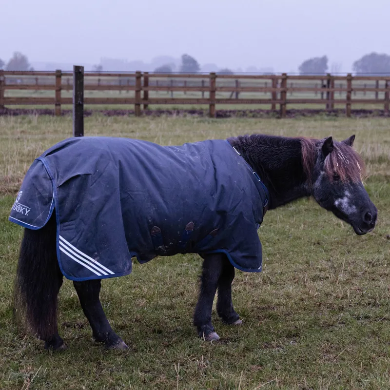 Kentucky All Weather Comfort 300g Turnout Rug - Navy-3